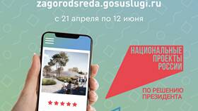 Использование номеров телефонов на портале Госуслуги