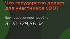 Как получить социальную выплату СВО в Перекресток