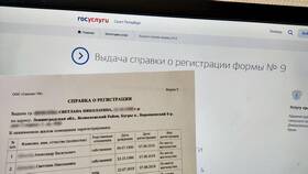 Как получить справку по форме 9 через Госуслуги в Перекресток