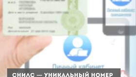 Как узнать номер СНИЛС умершего родственника в Перекресток