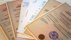 Как узнать ОКВЭД по ИНН онлайн в Перекресток