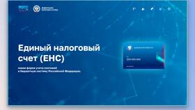 Как узнать сальдо налогового счета в Перекресток