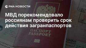 Как узнать срок действия паспорта в Перекресток