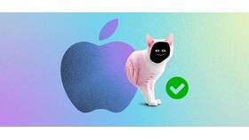 Причины невозможности создания аккаунта на iPhone в Перекресток